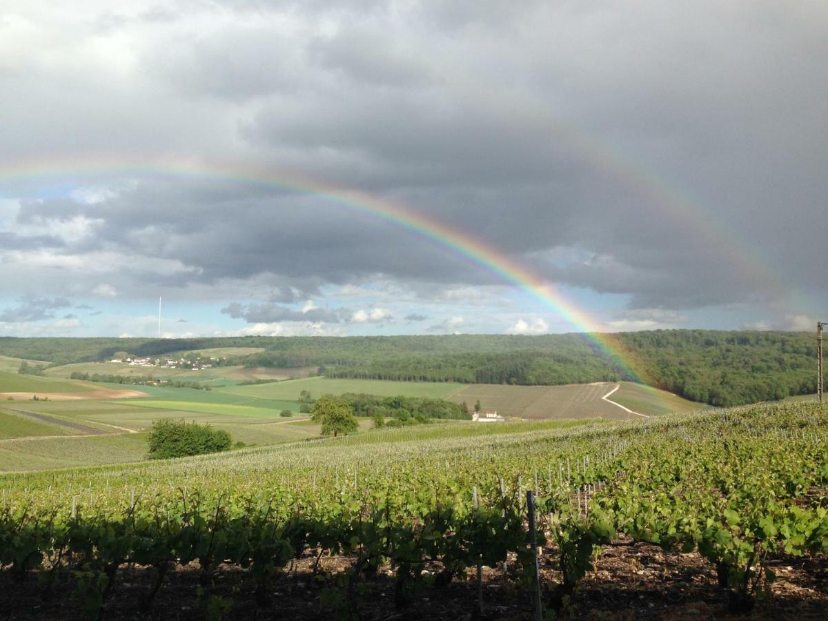 Flor'Ever en Champagne Fleury-la-Riviere Eksteriør billede