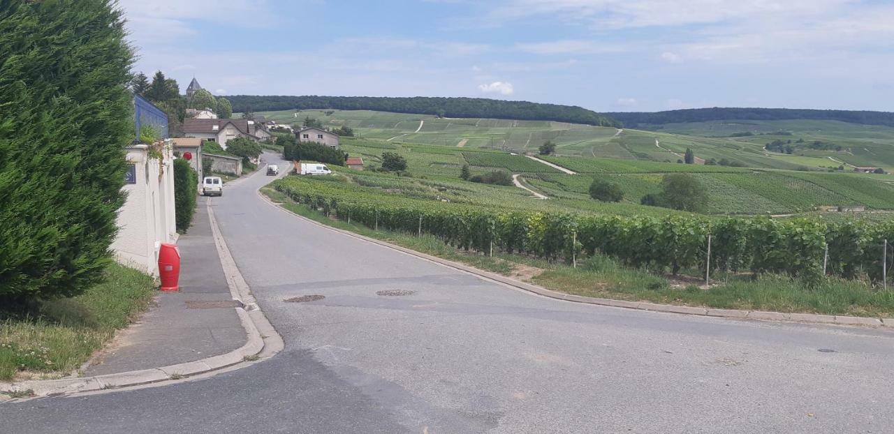 Flor'Ever en Champagne Fleury-la-Riviere Eksteriør billede