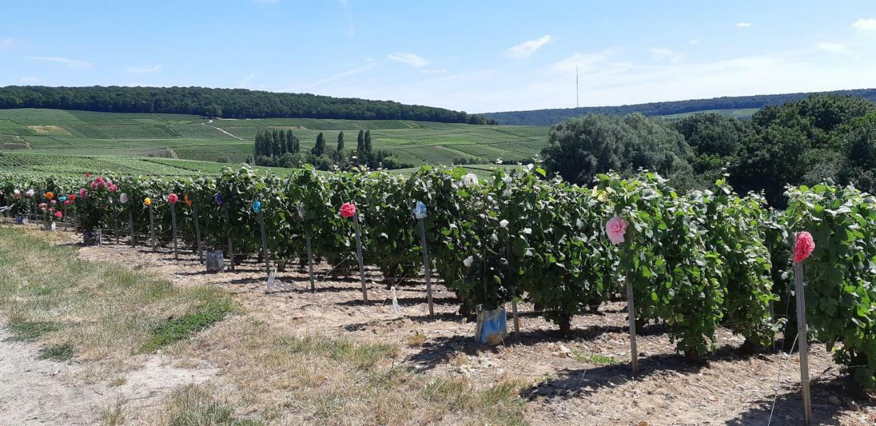 Flor'Ever en Champagne Fleury-la-Riviere Eksteriør billede