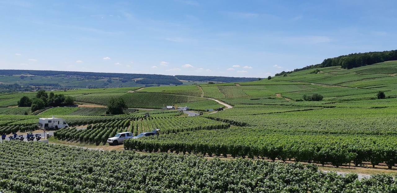 Flor'Ever en Champagne Fleury-la-Riviere Eksteriør billede